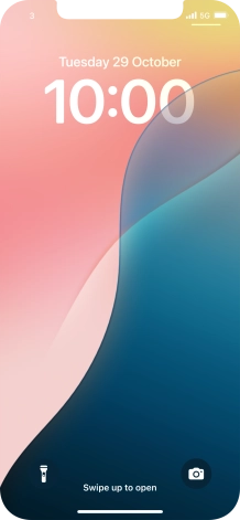 Press and hold anywhere on the lock screen.