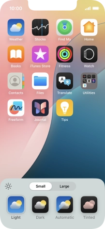Press the required setting to select the size of app icons on the home screen.