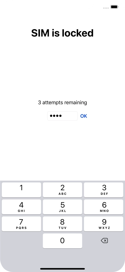 If your SIM is locked, key in your PIN and press OK.