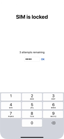 If your SIM is locked, key in your PIN and press OK.