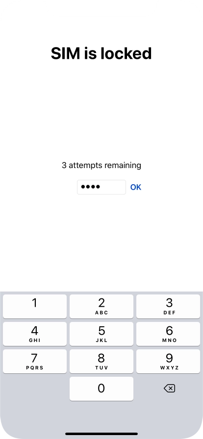 If your SIM is locked, key in your PIN and press OK.