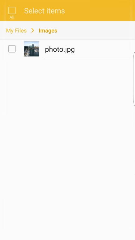 Press the field next to the required file.