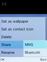 Select Bluetooth and press the Left selection key.
