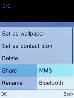 Select Bluetooth and press the Left selection key.