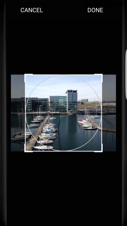 Drag the frame to the required position to select the required detail and press DONE.