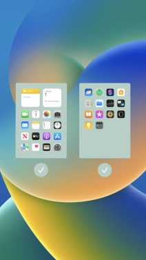 Press the fields below the required home screens to select or deselect them. Press the fields below the required home screens to select or deselect them.