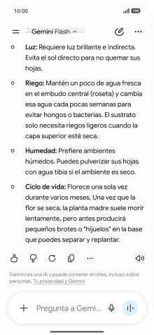 Sigue las indicaciones de la pantalla para escribir o decir en alto la pregunta deseada. Puedes adjuntar fotografías o documentos y hacer preguntas acerca de ellos. Sigue las indicaciones de la pantalla para escribir o decir en alto la pregunta deseada. Puedes adjuntar fotografías o documentos y hacer preguntas acerca de ellos.