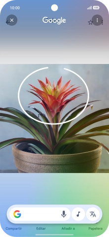 Rodea con un círculo el elemento deseado de la fotografía y espera a que aparezcan los resultados de búsqueda. Rodea con un círculo el elemento deseado de la fotografía y espera a que aparezcan los resultados de búsqueda.
