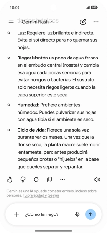 Sigue las indicaciones de la pantalla para escribir o decir en alto más preguntas y continuar la conversación. Sigue las indicaciones de la pantalla para escribir o decir en alto más preguntas y continuar la conversación.