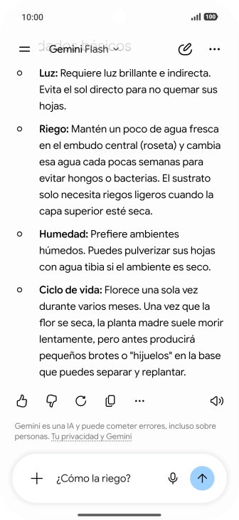 Sigue las indicaciones de la pantalla para escribir o decir en alto más preguntas y continuar la conversación. Sigue las indicaciones de la pantalla para escribir o decir en alto más preguntas y continuar la conversación.
