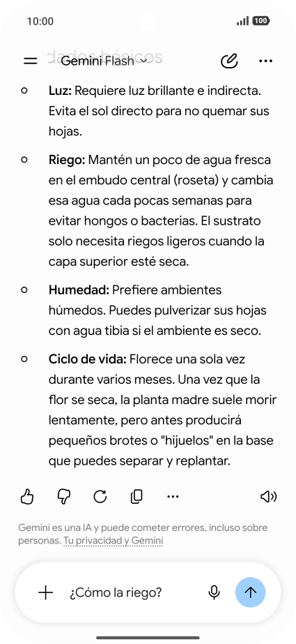 Sigue las indicaciones de la pantalla para escribir o decir en alto más preguntas y continuar la conversación. Sigue las indicaciones de la pantalla para escribir o decir en alto más preguntas y continuar la conversación.