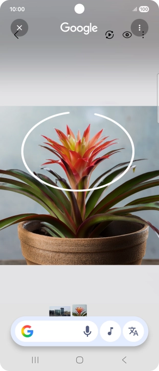 Draw a circle around the required object on the picture and wait for the search results.