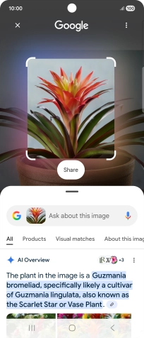 Follow the instructions on the screen to use the search results.