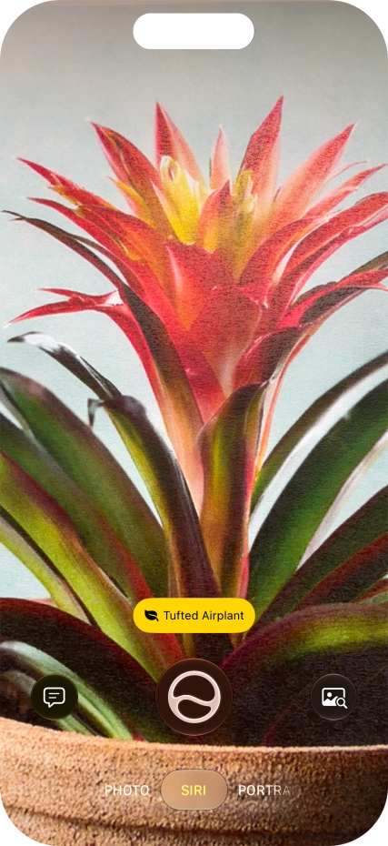 For information about animals and plants, press the information field.