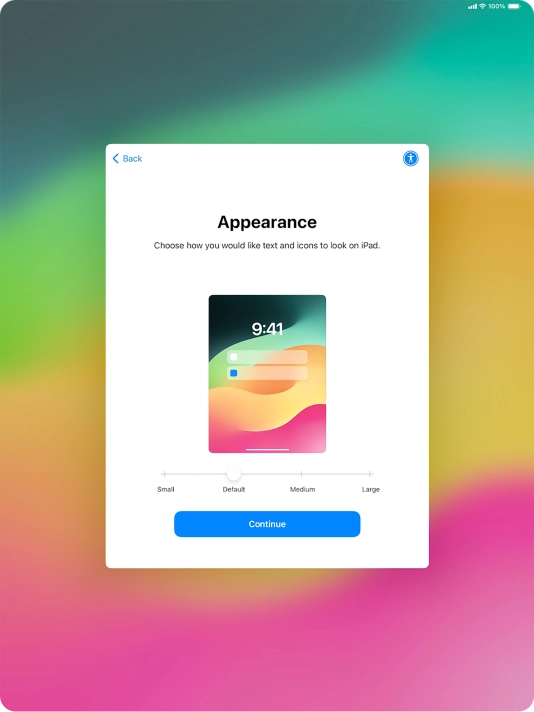 Select the required text and icon size on your tablet and press Continue.