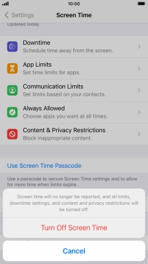 Press Turn Off Screen Time.