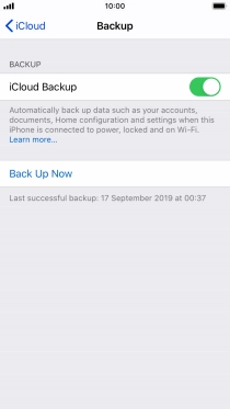Press Back Up Now and wait while the phone memory is backed up.