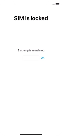 If your SIM is locked, key in your PIN and press OK.
