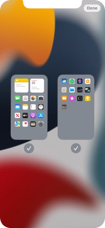 Press the fields below the required home screens to select or deselect them.