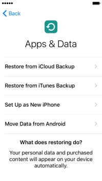 Press Restore from iCloud Backup.