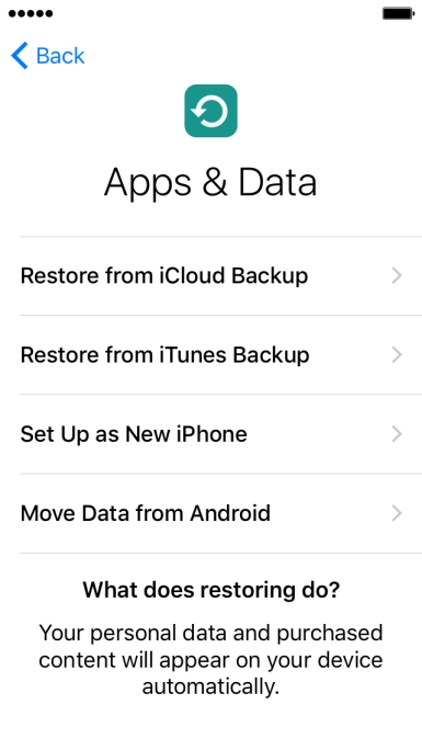 Press Restore from iCloud Backup.