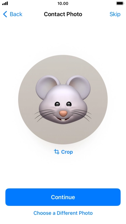 Follow the instructions on the screen to customise the selected picture and press Continue.