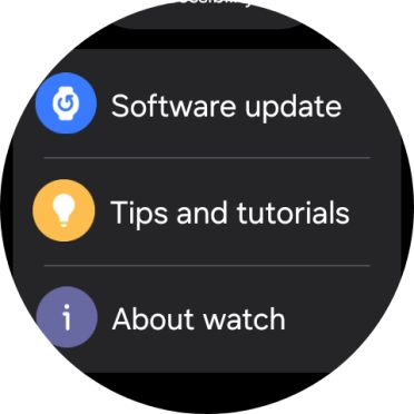 Press Software update.