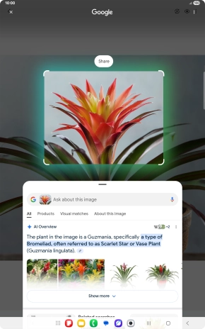 Follow the instructions on the screen to use the search results.