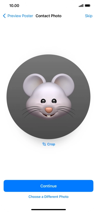 Follow the instructions on the screen to customise the selected picture and press Continue.