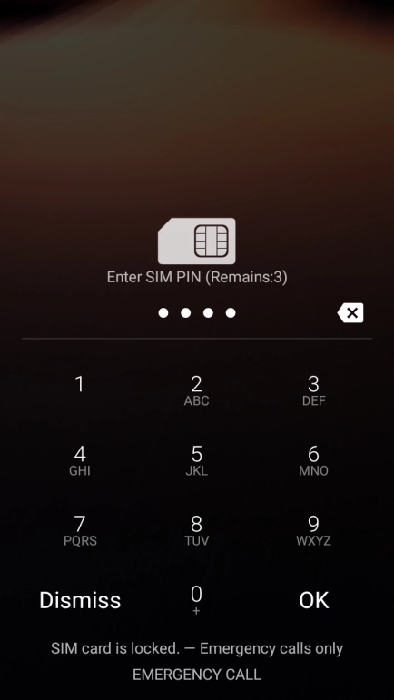 If you're asked to key in your PIN, do so and press OK.