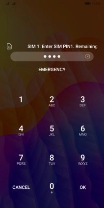 If you're asked to key in your PIN, do so and press OK.