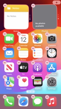 Press the home screen icon.