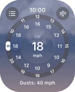 Press the Digital Crown to return to the home screen.