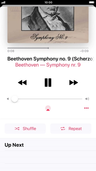 Press Shuffle to turn the function on or off.