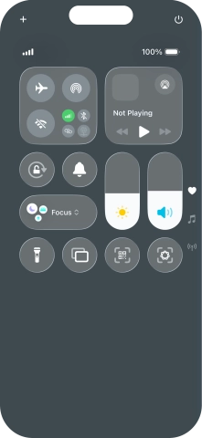 Press the visual intelligence icon to activate visual intelligence.