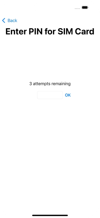 If your SIM is locked, key in your PIN and press OK.