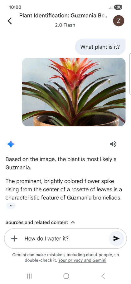 Follow the instructions on the screen to type or speak the required question. You can also attach pictures or documents and ask questions to them. Follow the instructions on the screen to type or speak the required question. You can also attach pictures or documents and ask questions to them.