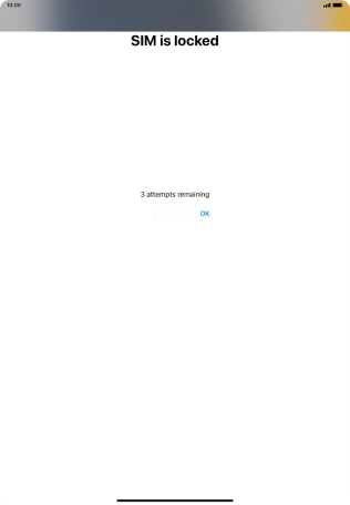 If your SIM is locked, key in your PIN and press OK.