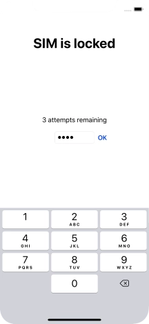 Key in your PIN and press OK.