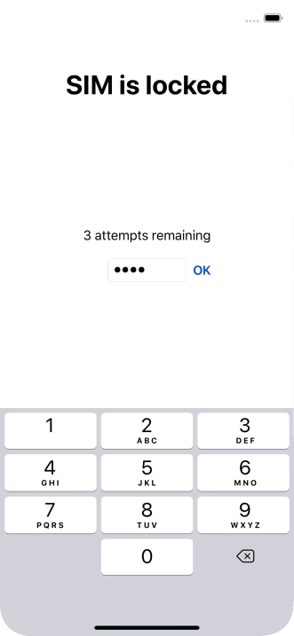 Key in your PIN and press OK.