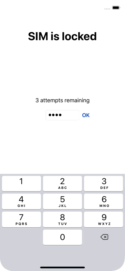 Key in your PIN and press OK.