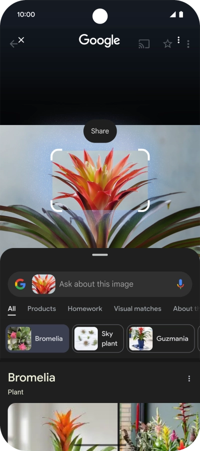 Follow the instructions on the screen to use the search results.