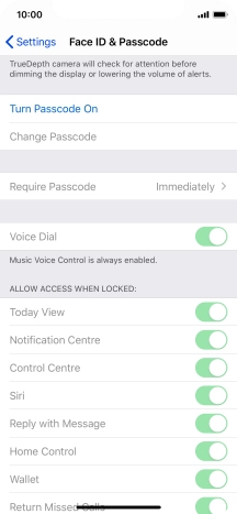 Press Turn Passcode On and key in a phone lock code of your own choice twice.
