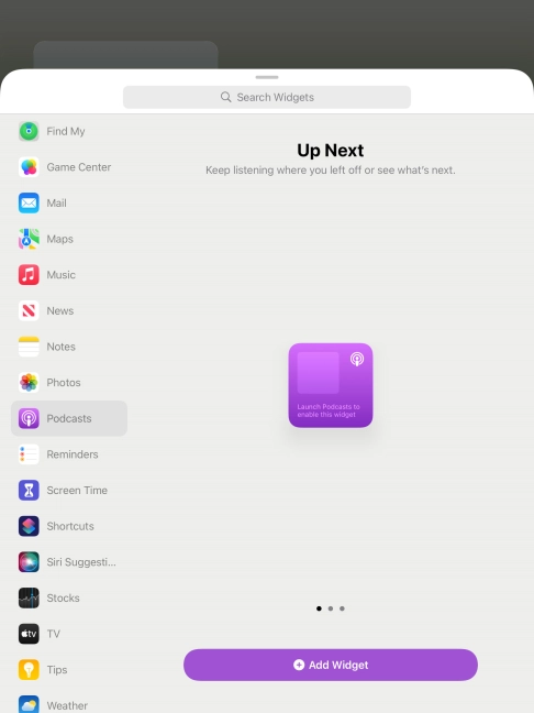 Slide your finger right or left on the screen to select the required widget size. Slide your finger right or left on the screen to select the required widget size.
