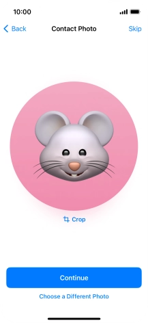 Follow the instructions on the screen to customise the selected picture and press Continue.