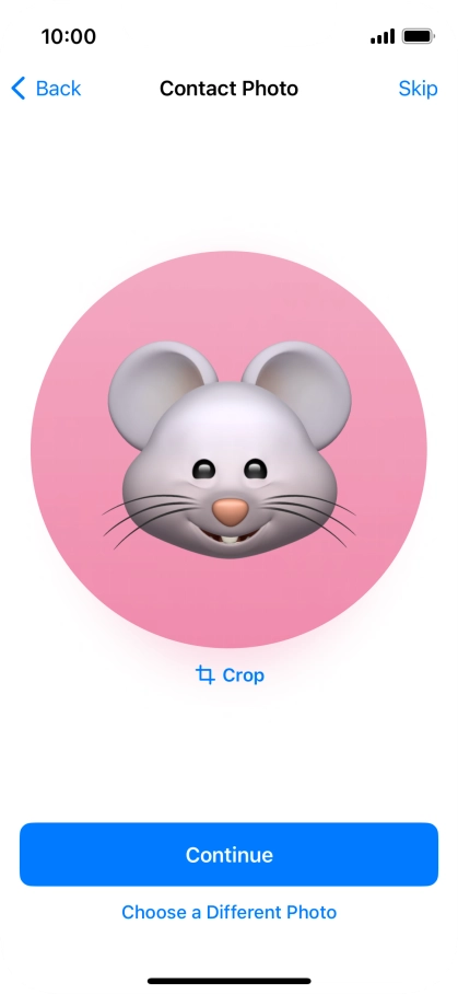 Follow the instructions on the screen to customise the selected picture and press Continue.