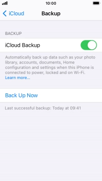 Press Back Up Now and wait while the phone memory is backed up.