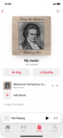 Go to the required category or playlist and press the required audio file.