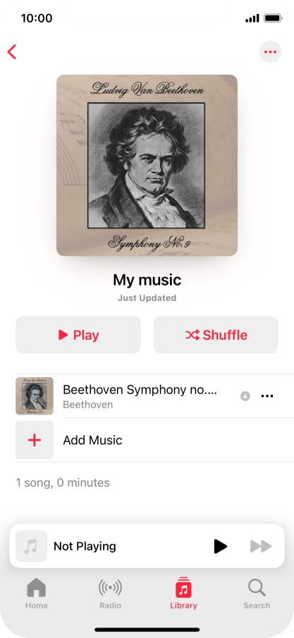 Go to the required category or playlist and press the required audio file.