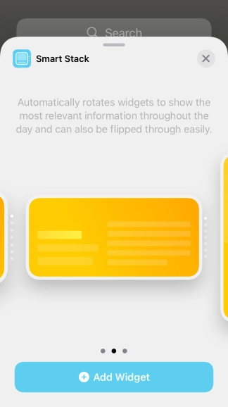 Slide your finger right or left on the screen to select the required widget size.